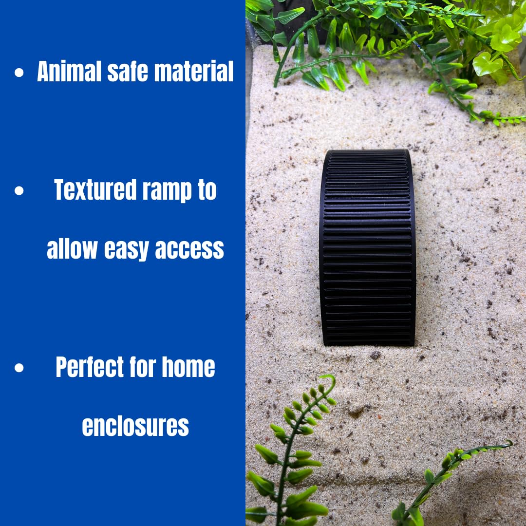 Climbing Bridge for Hermit Crabs, Lizards, Amphibians, Reptiles Terrariums | Toy Bridge Decor for Climbing & Exploring | Made in USA