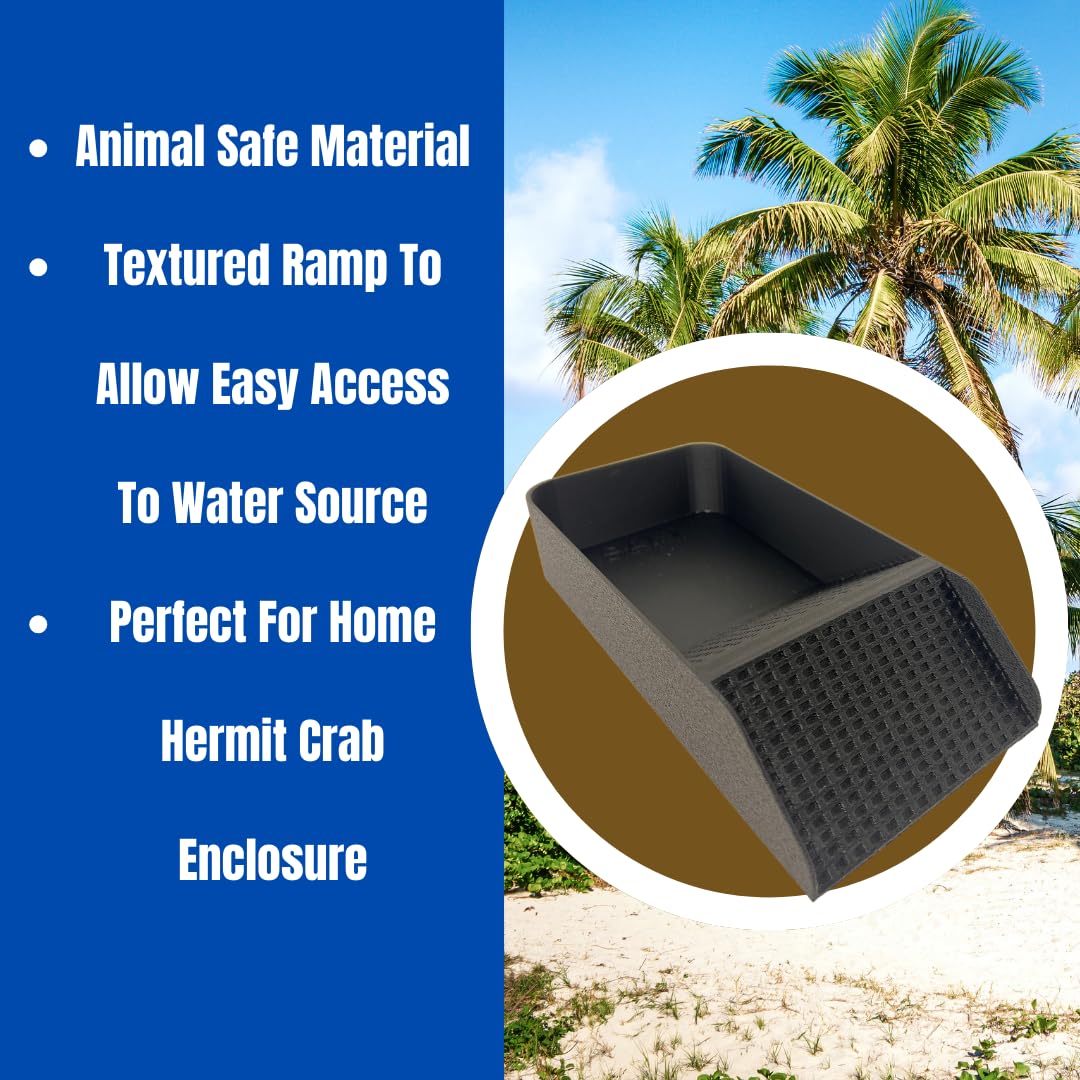 Chatelet Hermit Crab, Lizard, Turtle, Amphibian XL Watering Pool | Platform Pool Accessory with Access Ramp for Pet Habitats | 9.75" x 5" | Made in USA X-Large