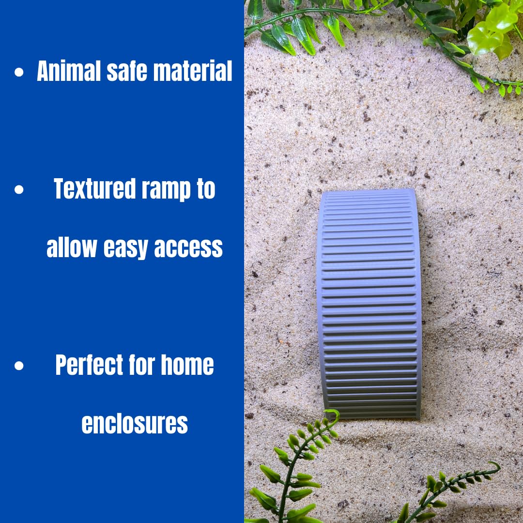 Climbing Bridge for Hermit Crabs, Lizards, Amphibians, Reptiles Terrariums | Toy Bridge Decor for Climbing & Exploring | Made in USA