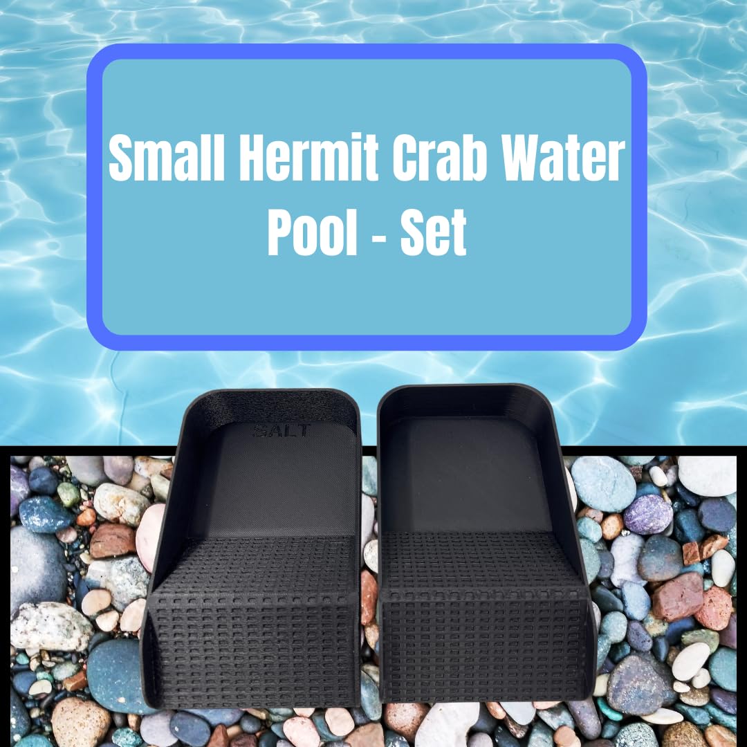 Hermit Crab Watering Pool | Platform Pool Accessory with Access Ramp for Hermit Crabs | 6.5" x 4" | Made in USA