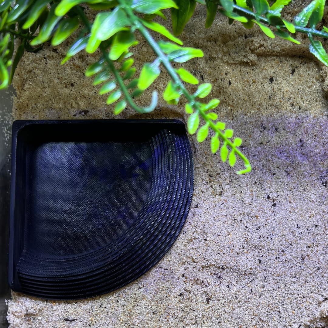 Hermit Crab Corner Pool | Watering Dish for Crabs, Frogs, Lizards | Corner Watering Pool with Ramp Access | Made in USA