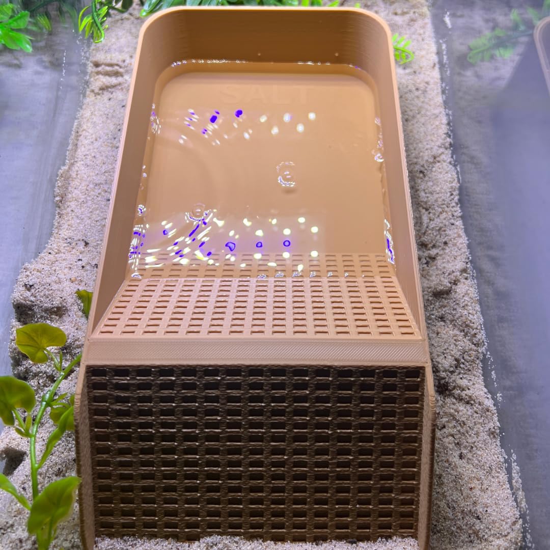 Chatelet Hermit Crab, Lizard, Turtle, Amphibian XL Watering Pool | Platform Pool Accessory with Access Ramp for Pet Habitats | 9.75" x 5" | Made in USA X-Large