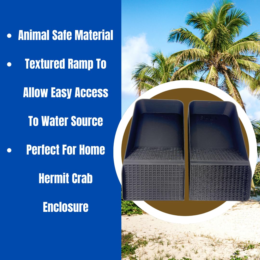 Chatelet Hermit Crab, Lizard, Turtle, Amphibian XL Watering Pool | Platform Pool Accessory with Access Ramp for Pet Habitats | 9.75" x 5" | Made in USA X-Large