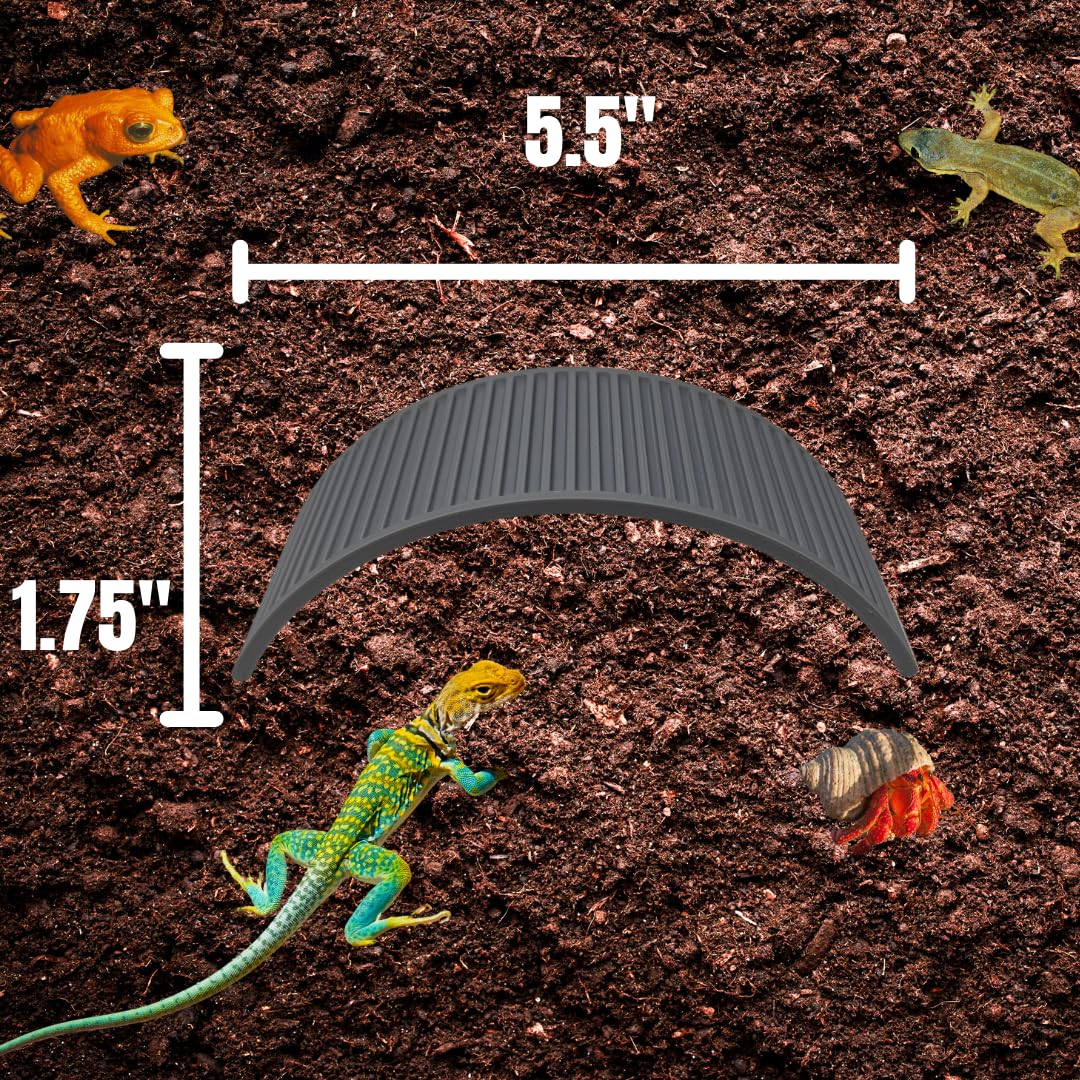 Climbing Bridge for Hermit Crabs, Lizards, Amphibians, Reptiles Terrariums | Toy Bridge Decor for Climbing & Exploring | Made in USA