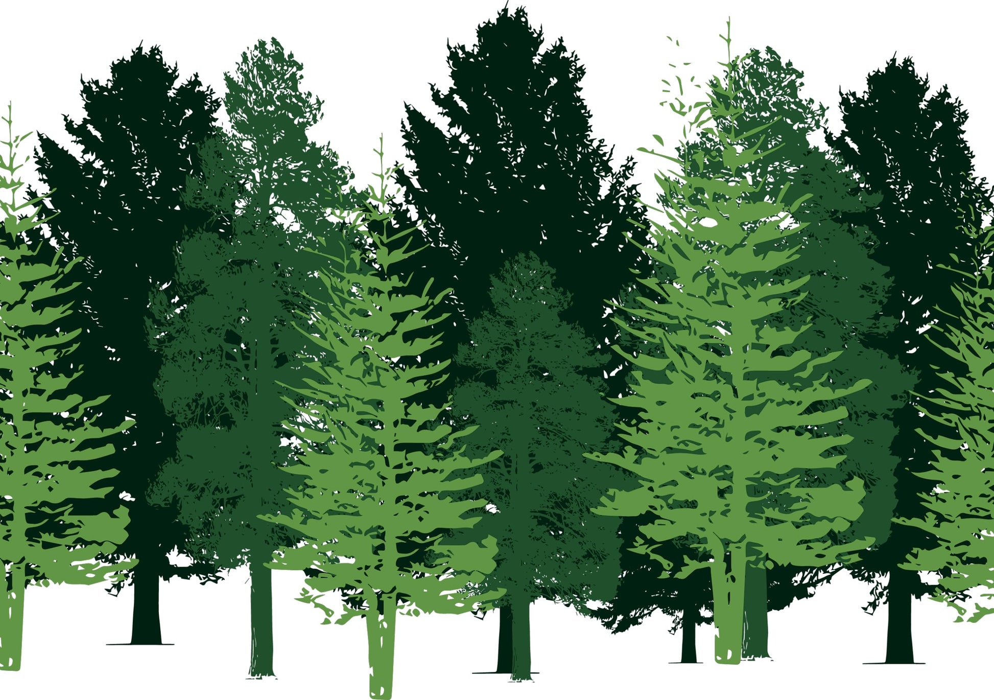 Wall Decals for Kids Rooms – Green Forest Trees – Made in USA - Green Forest Trees, Small