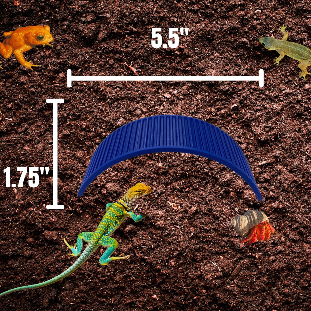 Climbing Bridge for Hermit Crabs, Lizards, Amphibians, Reptiles Terrariums | Toy Bridge Decor for Climbing & Exploring | Made in USA