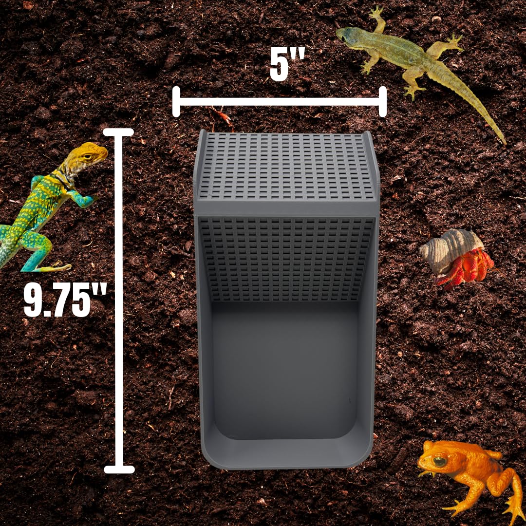 Chatelet Hermit Crab, Lizard, Turtle, Amphibian XL Watering Pool | Platform Pool Accessory with Access Ramp for Pet Habitats | 9.75" x 5" | Made in USA X-Large