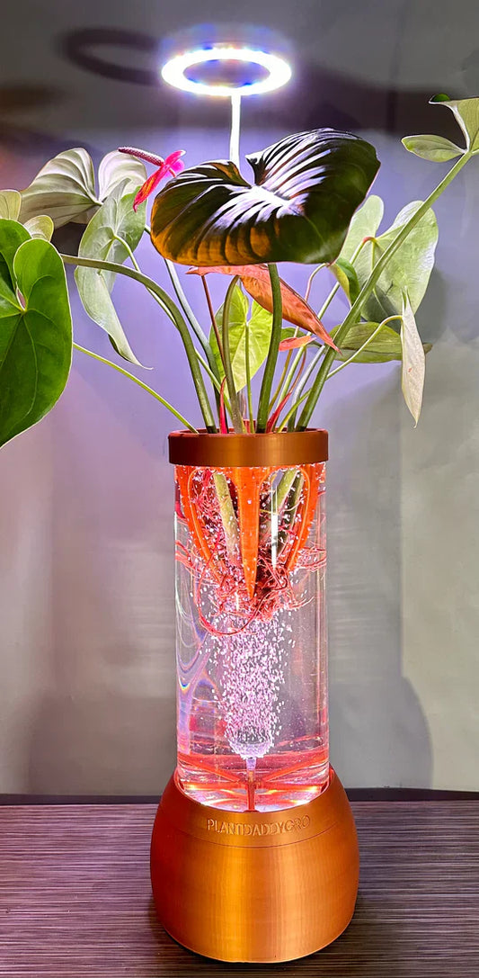 Case Study: From Concept to Cultivation — How PlantDaddy Launched a Hydroponic Product in Record Time