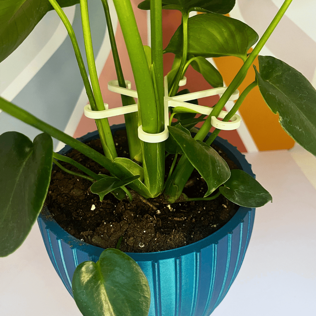 Chatelet Plant Climbers Stem Holders | Unique Design Supports for Growing Plants | 3 Sizes Included for Different Plant Stages | Made in USA 3 Pack, White