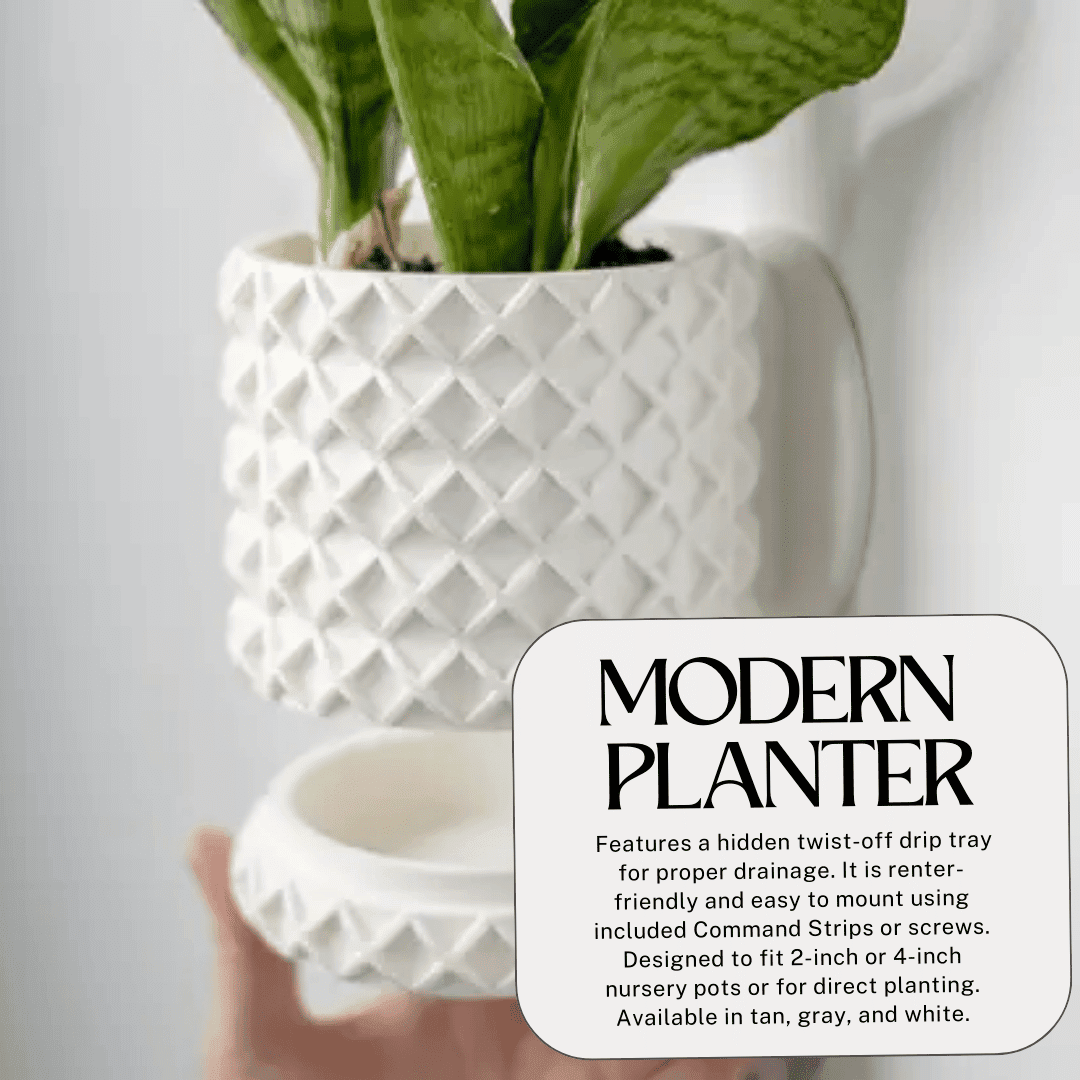 Bubble Lattice Wall Planter | 4" Diameter Modern Wall Planter Pot | Made in USA