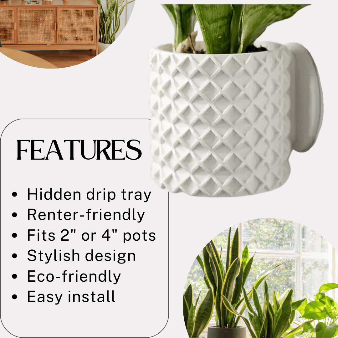 Bubble Lattice Wall Planter | 4" Diameter Modern Wall Planter Pot | Made in USA