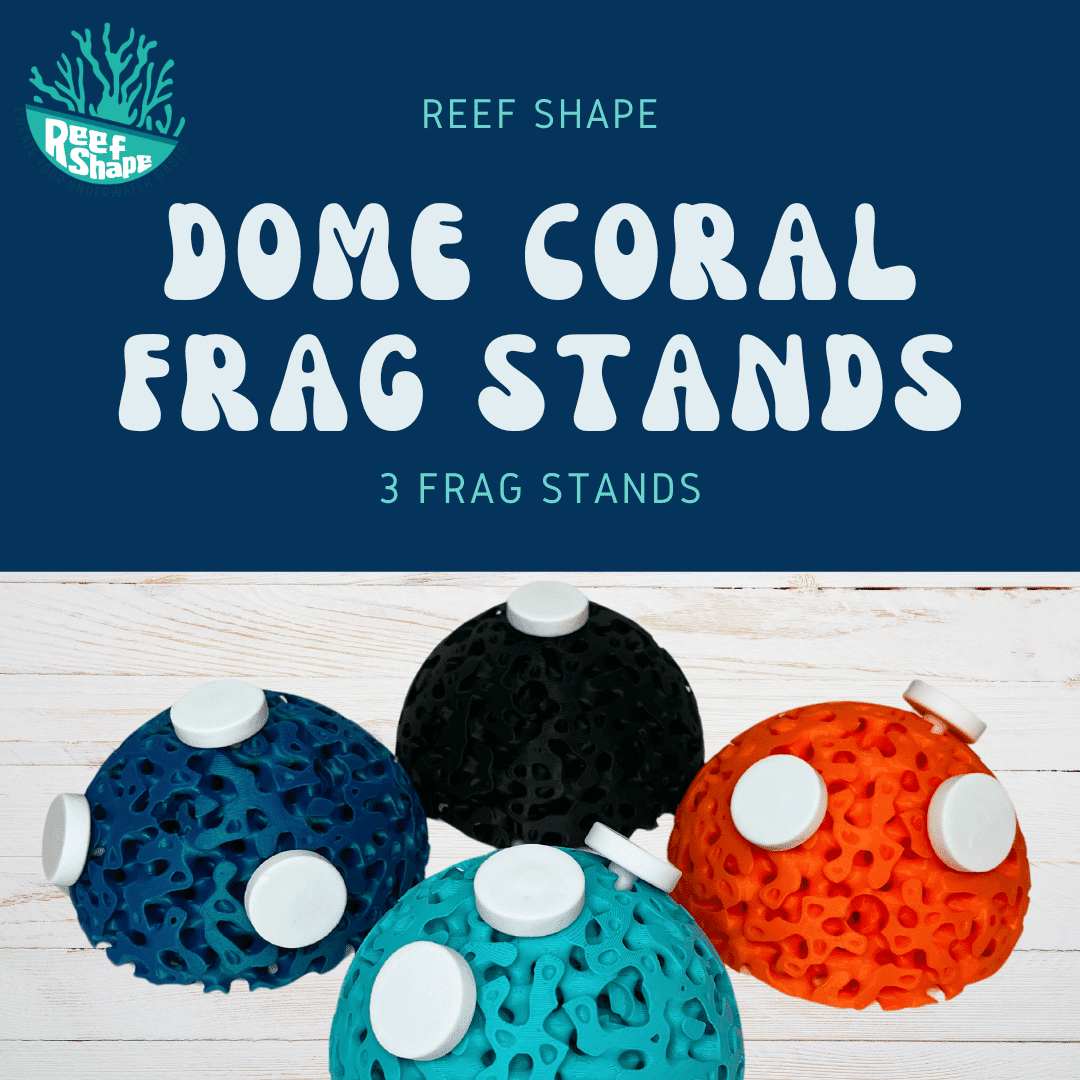 Aquarium Dome Coral Frag Stand | Coral Reef Replica Frag Stand Base for Growing Coral | Displays Multiple Frags