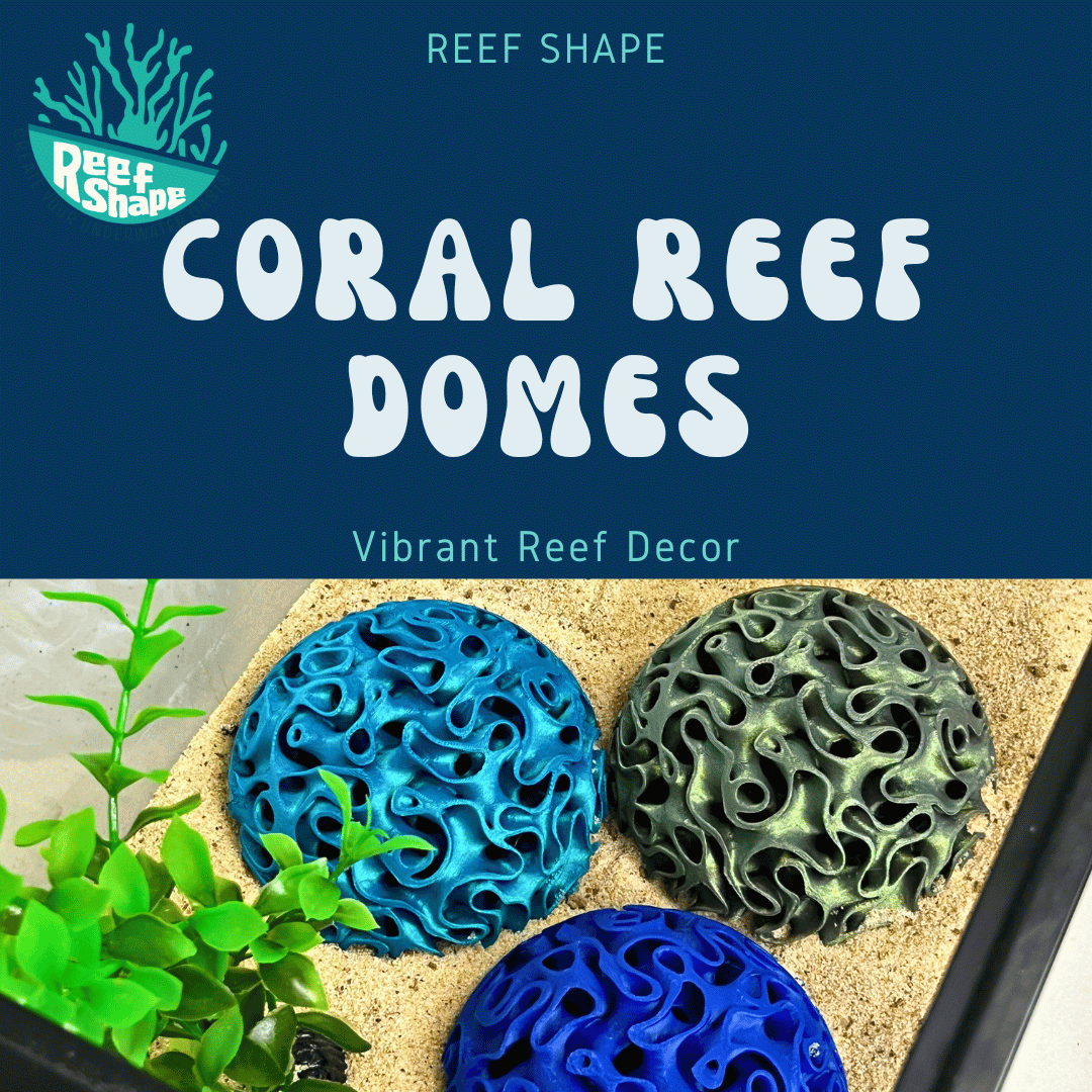 Aquarium Coral Reef Dome - Aquarium Reef Replica for Fish & Shrimp Shelter & Egg Laying