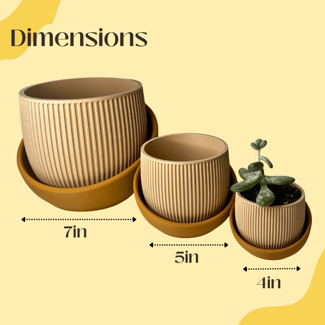 The Eero Planter | Stylish 2-Piece Drip Tray Planter Design for Indoor Potting | 3 Sizes Available | Made in USA