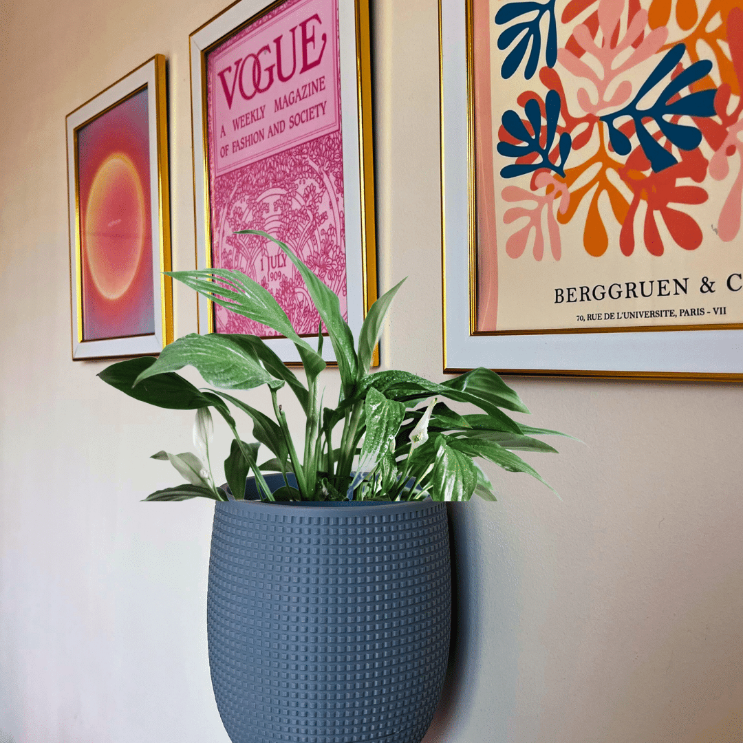 Grid Design Wall Planter with Drip Tray - 5" x 5.5" Planter with Wall Mount | Multiple Color Options!