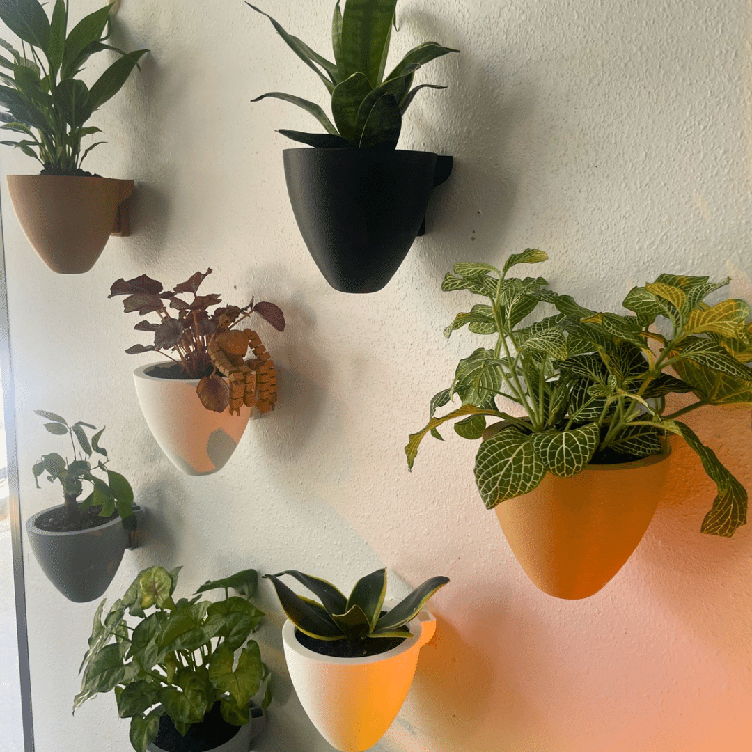 Magic Wall Planters | Easy Care Self Watering Wall Planters with Internal Water Reservoir | Make Plant Care Easy