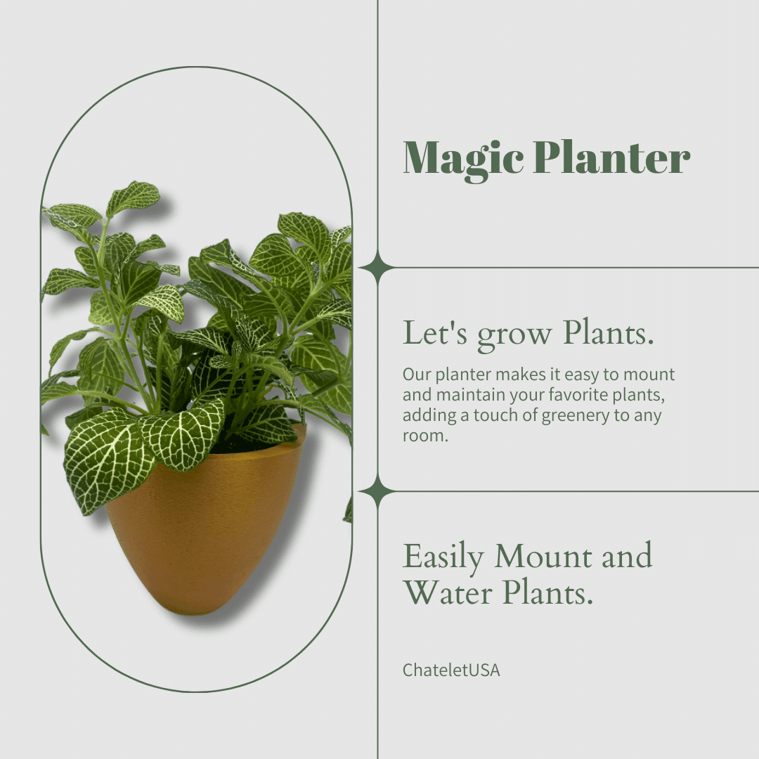 Magic Wall Planters | Easy Care Self Watering Wall Planters with Internal Water Reservoir | Make Plant Care Easy