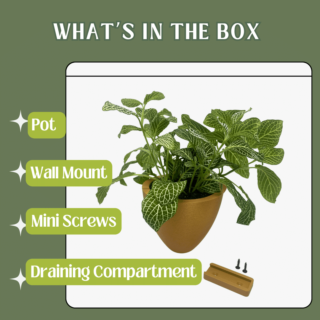 Magic Wall Planters | Easy Care Self Watering Wall Planters with Internal Water Reservoir | Make Plant Care Easy