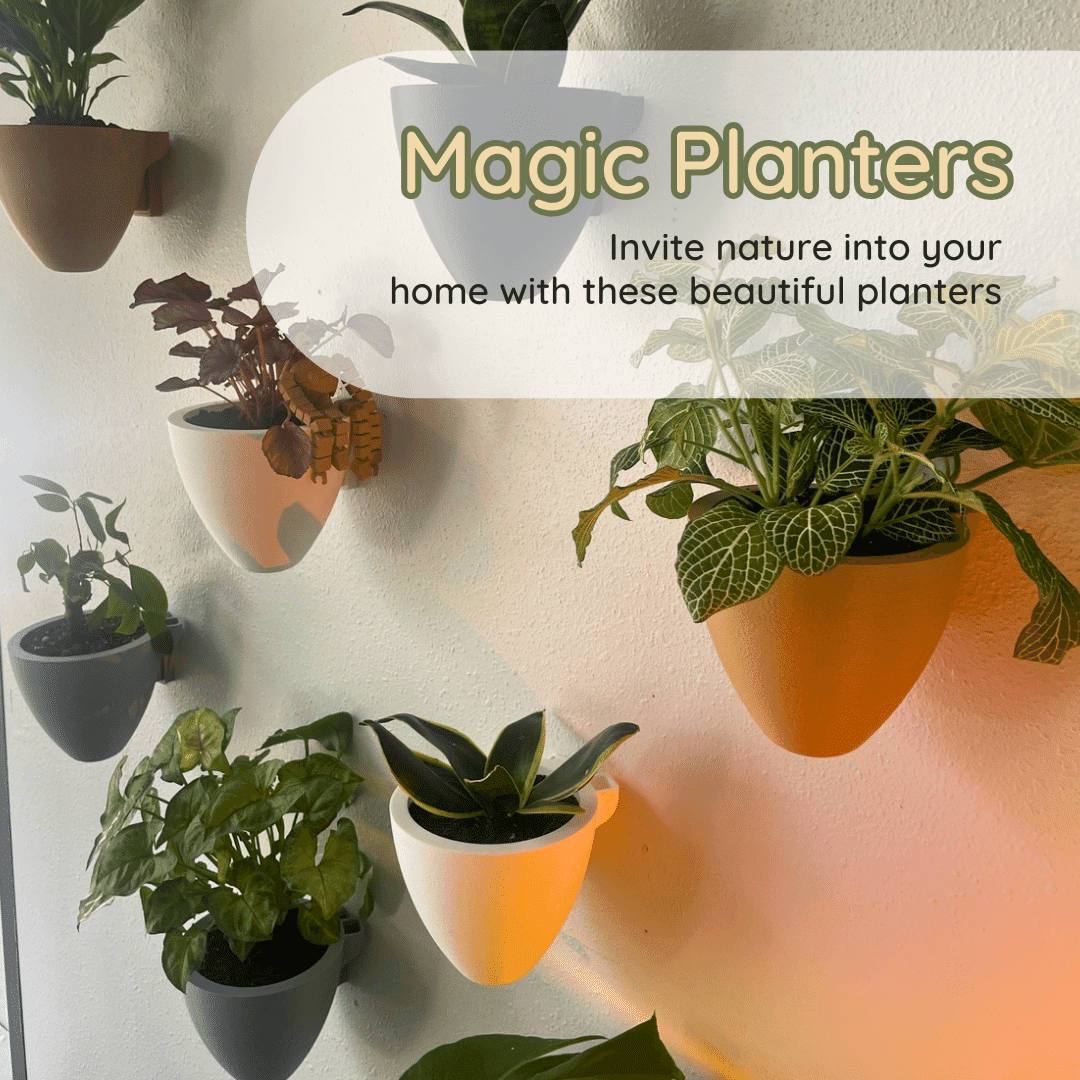 Magic Wall Planters | Easy Care Self Watering Wall Planters with Internal Water Reservoir | Make Plant Care Easy