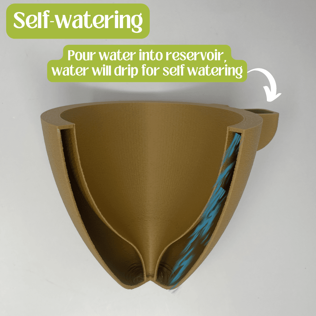 Magic Wall Planters | Easy Care Self Watering Wall Planters with Internal Water Reservoir | Make Plant Care Easy