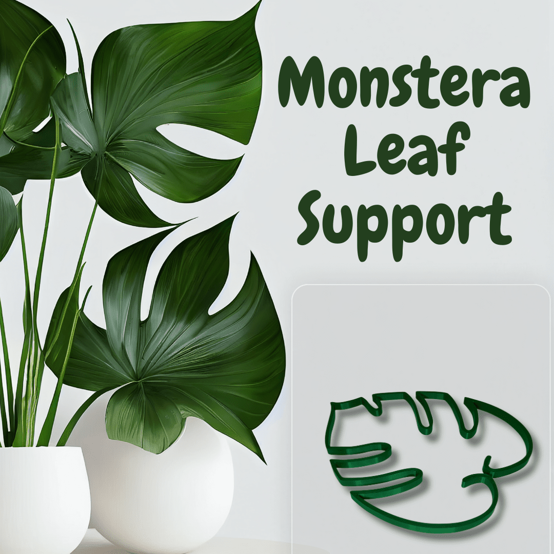 Monstera Leaf Plant Support | Unique & Aesthetic Monstera Plant Support | Keeps Plants Tame and Growing Vertical
