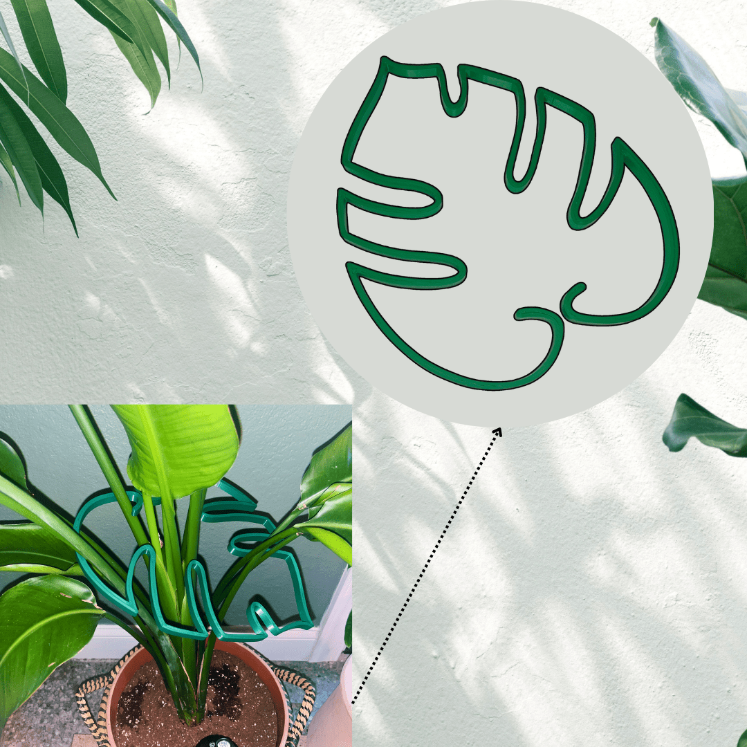 Monstera Leaf Plant Support | Unique & Aesthetic Monstera Plant Support | Keeps Plants Tame and Growing Vertical