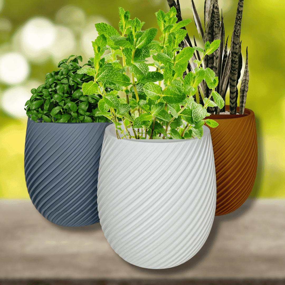 Spiral Design Wall or Tabletop Planter | 5.5" Diameter Premium Planter Pot | Wall Mount or Tabletop | Made in USA