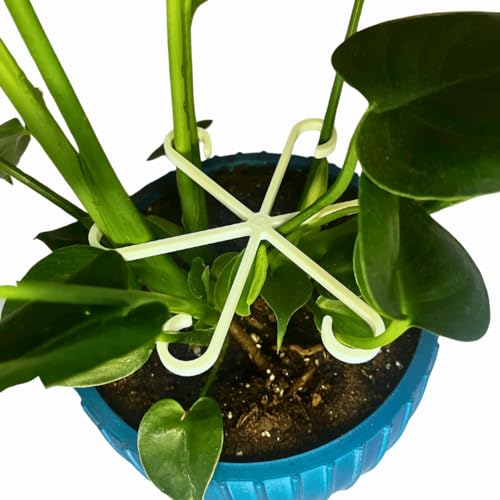 Chatelet Plant Climbers Stem Holders | Unique Design Supports for Growing Plants | 3 Sizes Included for Different Plant Stages | Made in USA 3 Pack, White