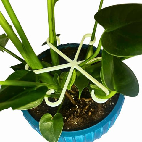 Chatelet Plant Climbers Stem Holders | Unique Design Supports for Growing Plants | 3 Sizes Included for Different Plant Stages | Made in USA (3 Pack, White)
