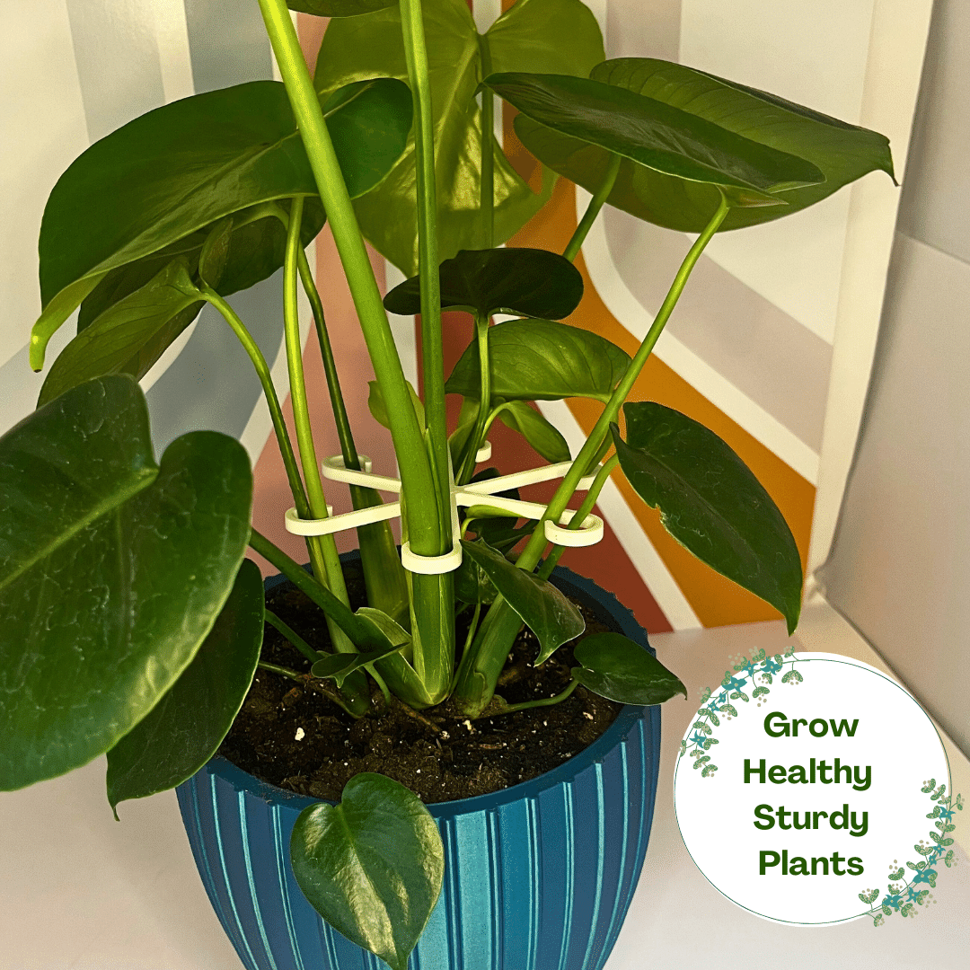 Chatelet Plant Climbers Stem Holders | Unique Design Supports for Growing Plants | 3 Sizes Included for Different Plant Stages | Made in USA 3 Pack, White