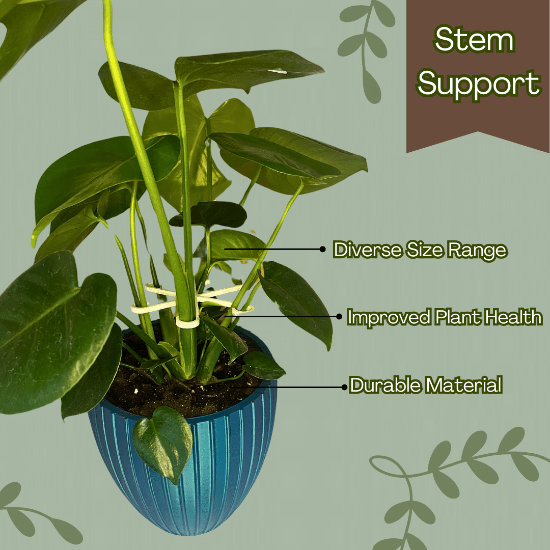 Chatelet Plant Climbers Stem Holders | Unique Design Supports for Growing Plants | 3 Sizes Included for Different Plant Stages | Made in USA 3 Pack, White