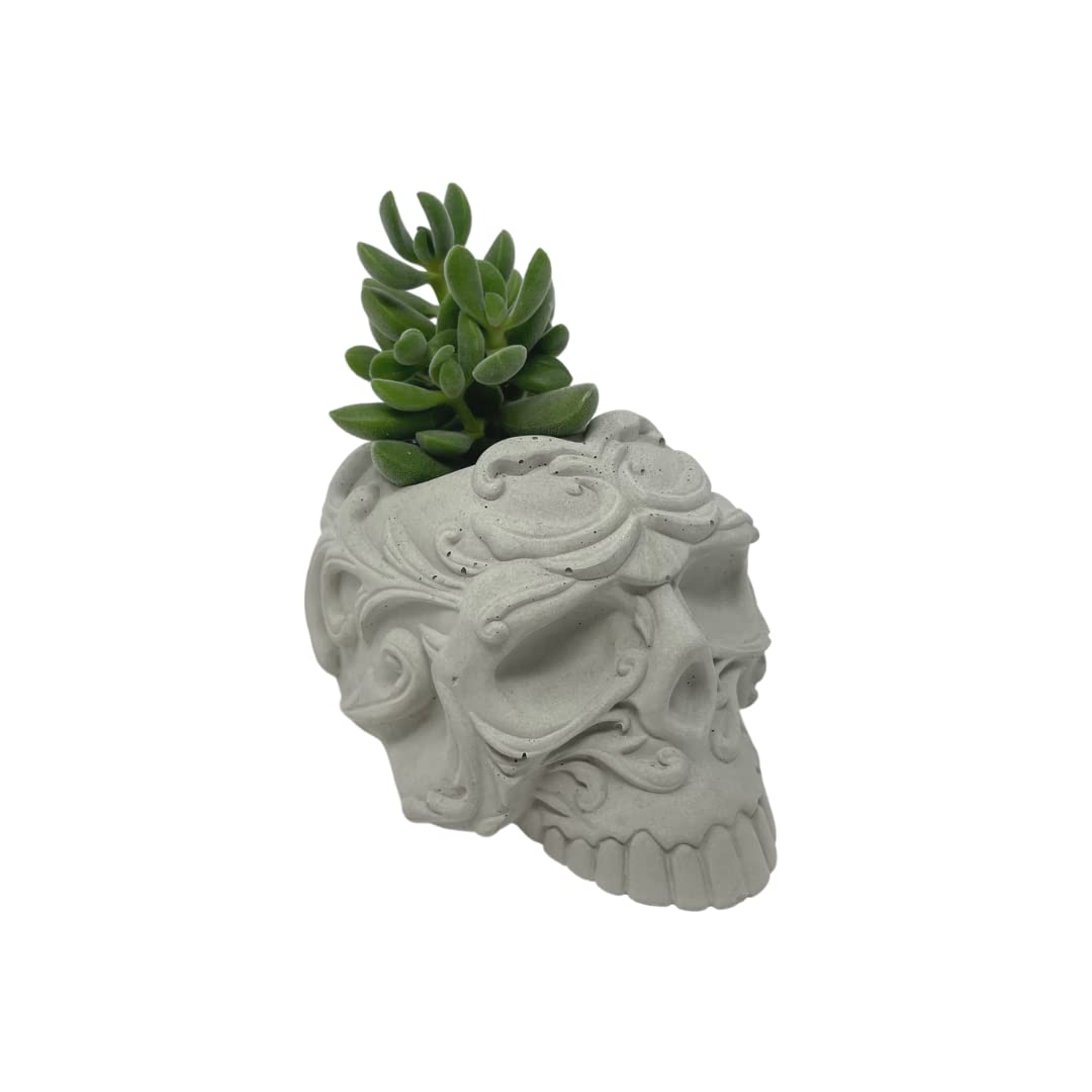 Chatelet Concrete Skull Design Small Planter - 5" x 3.5" x3" - Holds Small Indoor or Outdoor Plants - Succulents, Microgreens, Flowers - Handmade in USA Gray, Concrete