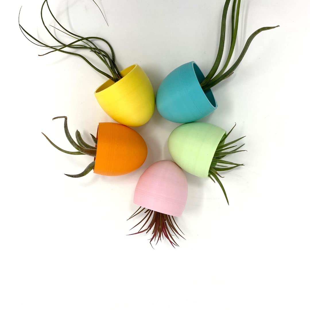 Easter Egg Succulent Fridge Magnet Decoration - Set of 5 with Pastel Blue, Yellow, Orange, Green, Pink