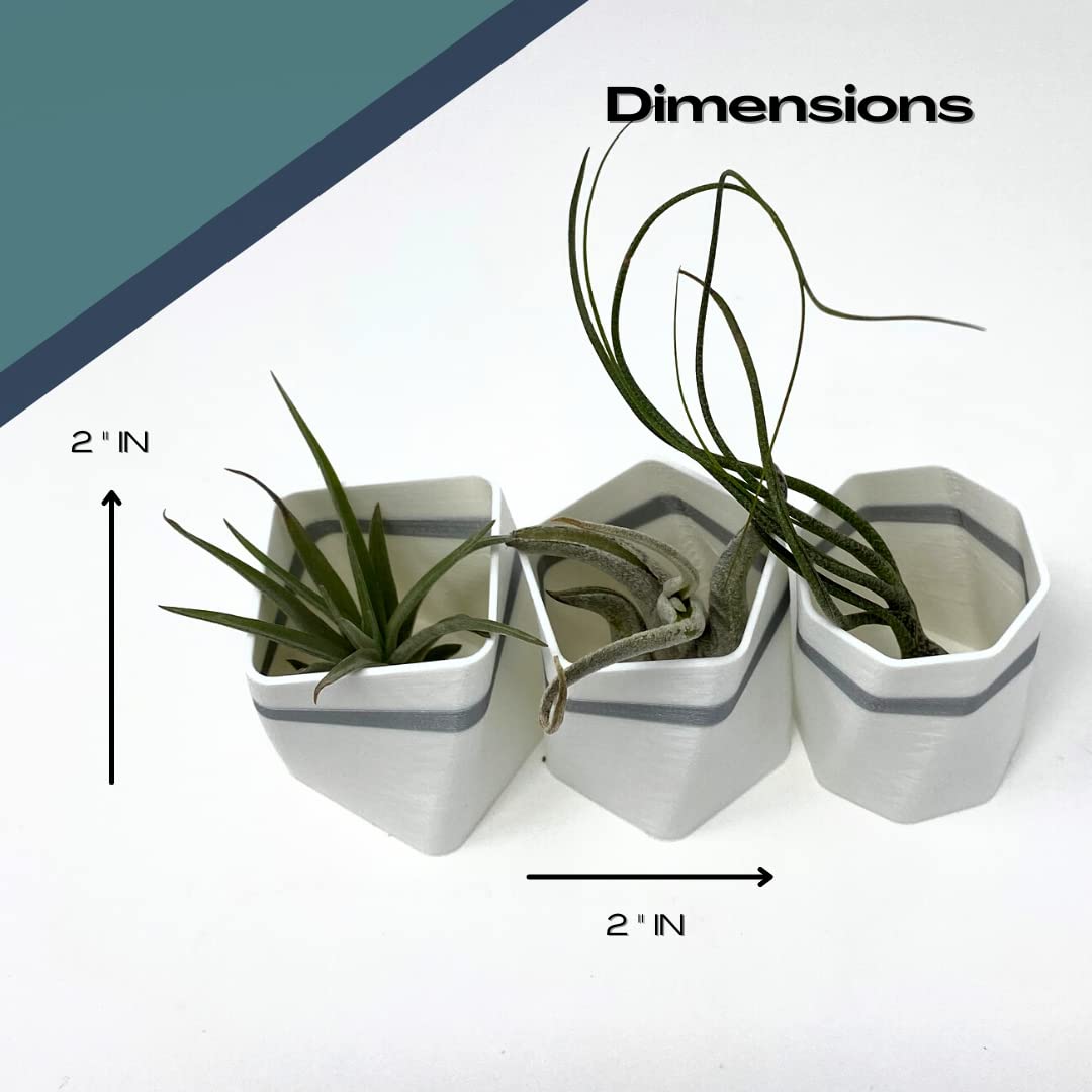 Planter Fridge Magnet Set - Ideal for Air Plants or Succulents - Set of 3 White Planters with Gray Stripe - Made in The USA