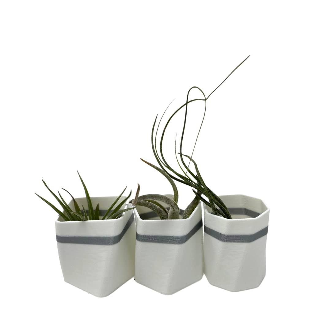 Planter Fridge Magnet Set - Ideal for Air Plants or Succulents - Set of 3 White Planters with Gray Stripe - Made in The USA