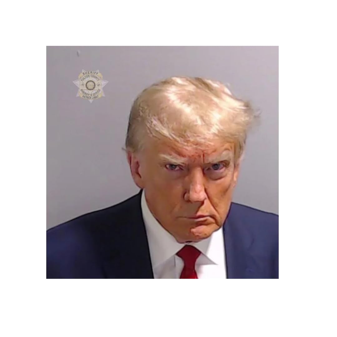 Trump Mugshot Premium Vinyl Sticker Pack | Hit Meme of 2023 | Great Gift for Friends or Coworkers | 10 Sticker Pack | Made in USA