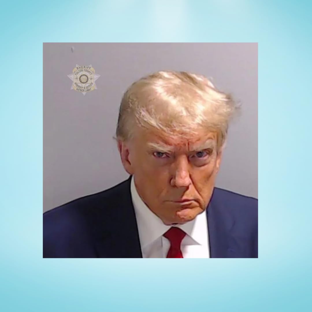 Trump Mugshot Premium Vinyl Sticker Pack | Hit Meme of 2023 | Great Gift for Friends or Coworkers | 10 Sticker Pack | Made in USA