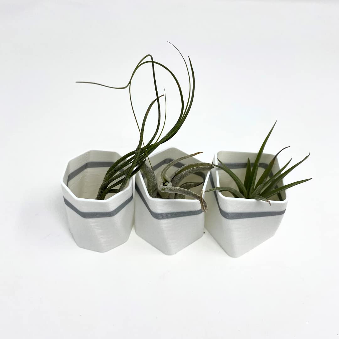 Planter Fridge Magnet Set - Ideal for Air Plants or Succulents - Set of 3 White Planters with Gray Stripe - Made in The USA