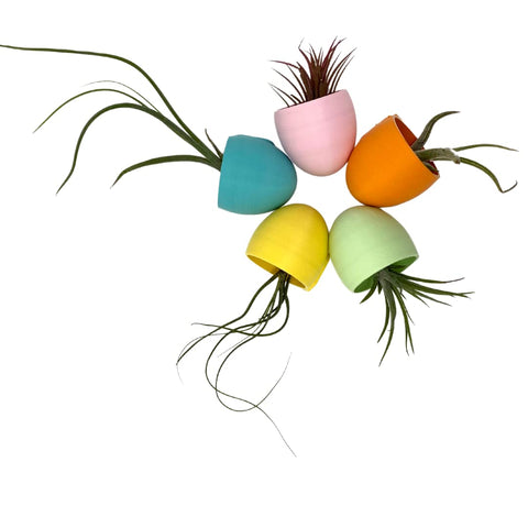 Easter Egg Succulent Fridge Magnet Decoration - Set of 5 with Pastel Blue, Yellow, Orange, Green, Pink