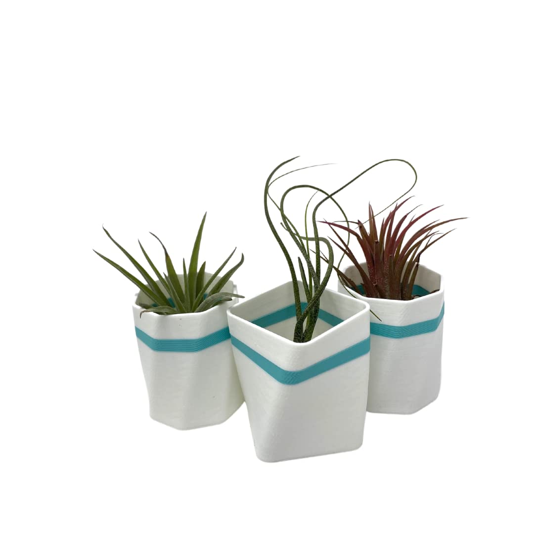 Planter Fridge Magnet Set - Ideal for Air Plants or Succulents - Set of 3 White Planters with Teal Stripe - Made in The USA