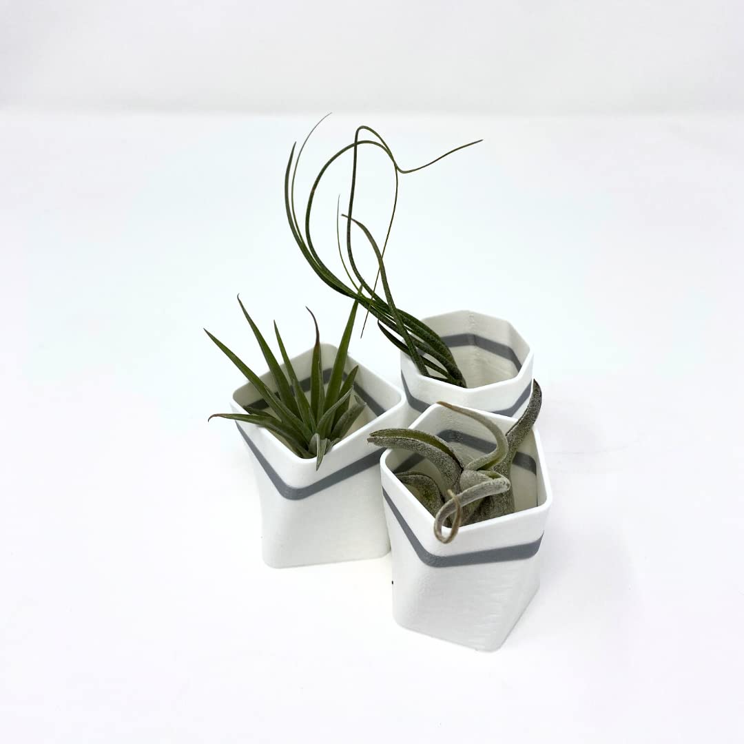 Planter Fridge Magnet Set - Ideal for Air Plants or Succulents - Set of 3 White Planters with Gray Stripe - Made in The USA