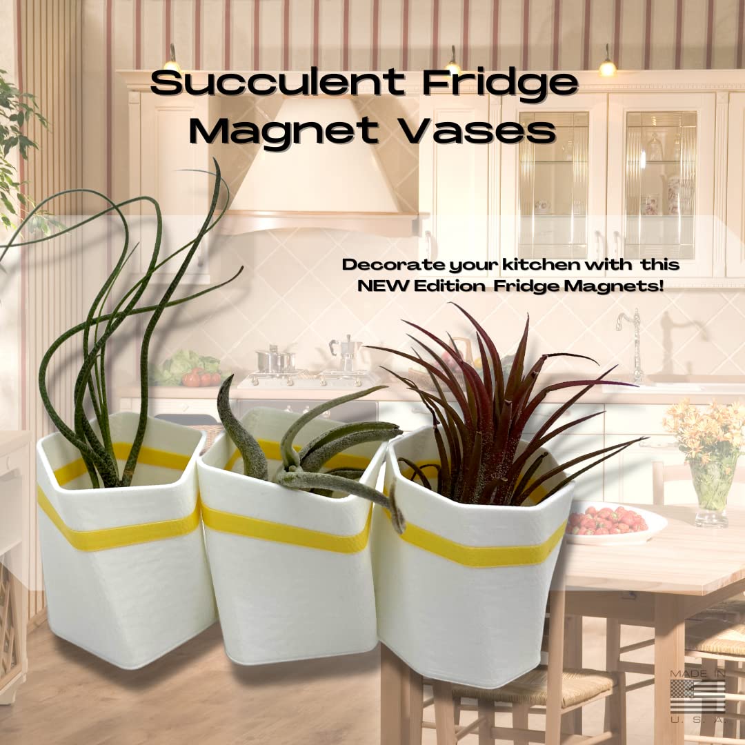 Planter Fridge Magnet Set - Ideal for Air Plants or Succulents - Set of 3 White Planters with Yellow Stripe - Made in The USA