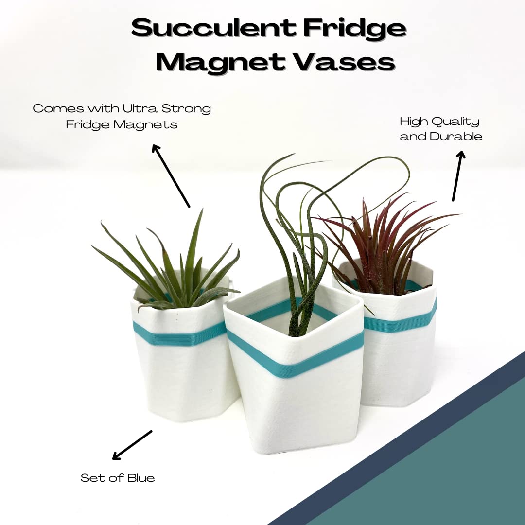 Planter Fridge Magnet Set - Ideal for Air Plants or Succulents - Set of 3 White Planters with Teal Stripe - Made in The USA