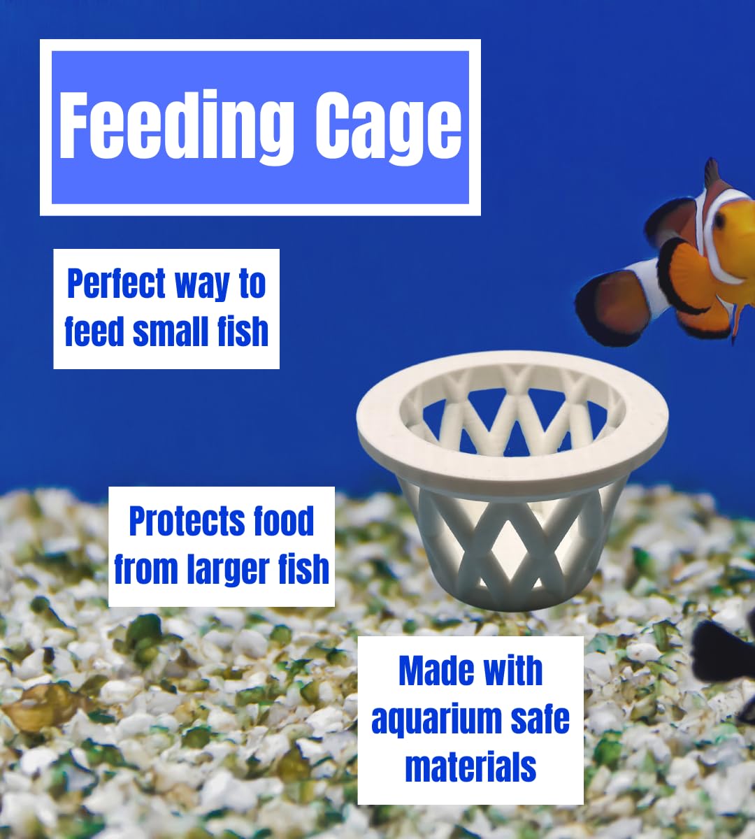 Chatelet Aquarium Fish Feeding Cage | Small Fish Feed Cage | Floats at Surface & Keeps Larger Fish Out | Made in USA