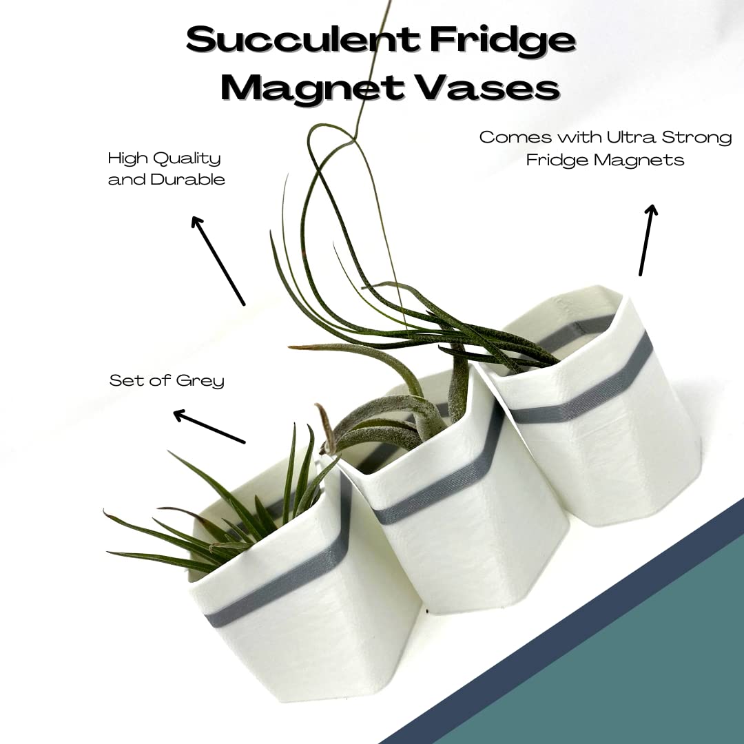 Planter Fridge Magnet Set - Ideal for Air Plants or Succulents - Set of 3 White Planters with Gray Stripe - Made in The USA