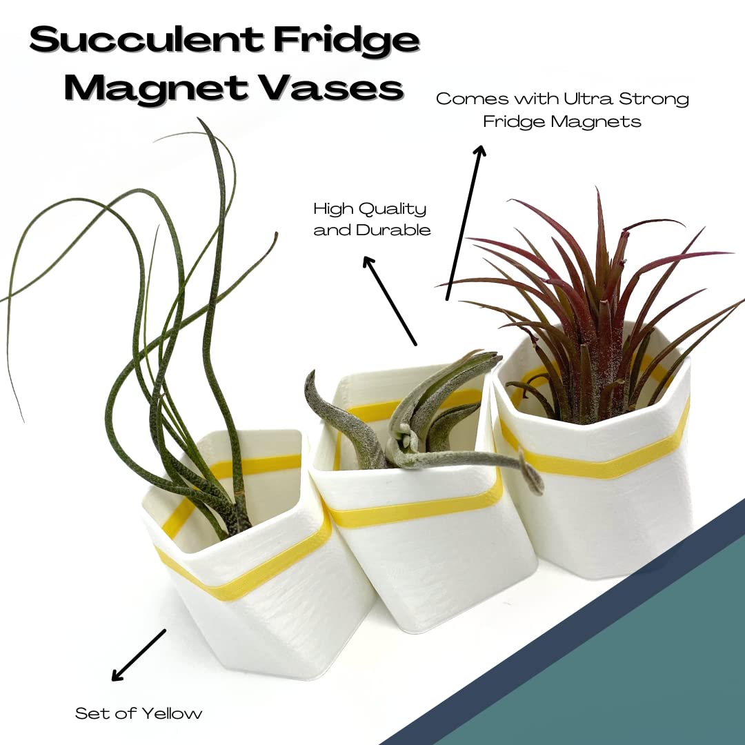 Planter Fridge Magnet Set - Ideal for Air Plants or Succulents - Set of 3 White Planters with Yellow Stripe - Made in The USA