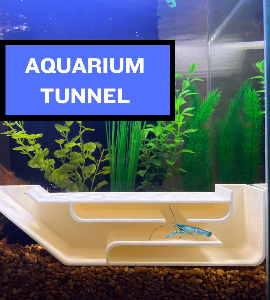 Chatelet REEFSHAPE Aquarium X-Large Underground Tunnel | Fish & Shrimp Hideout for Aquariums | Unique Underground Viewing Tunnel | 9.75" X 2.5" | Made in USA XL