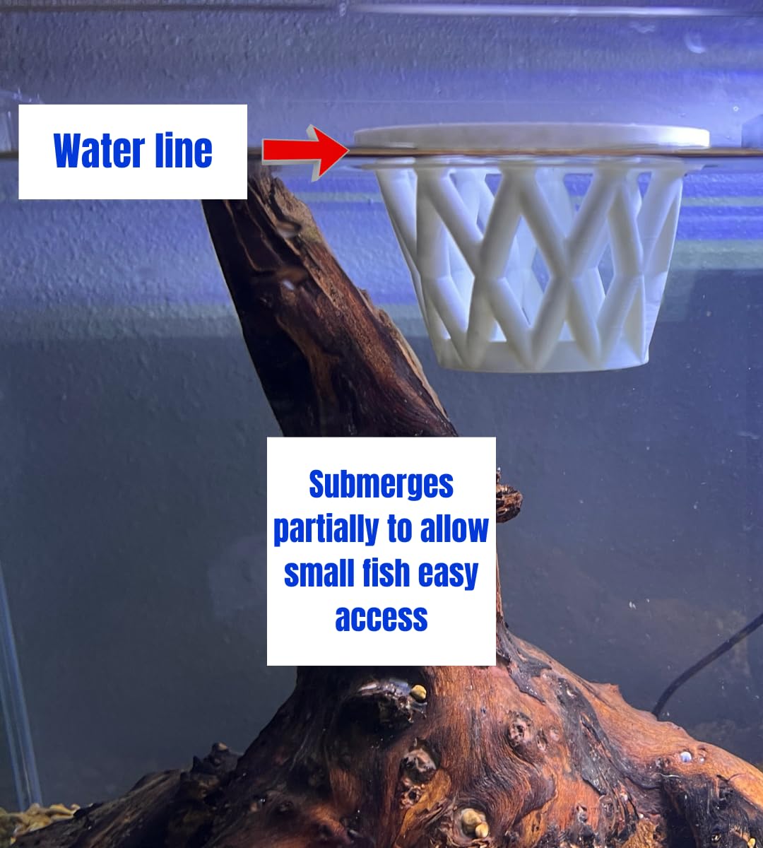 Chatelet Aquarium Fish Feeding Cage | Small Fish Feed Cage | Floats at Surface & Keeps Larger Fish Out | Made in USA