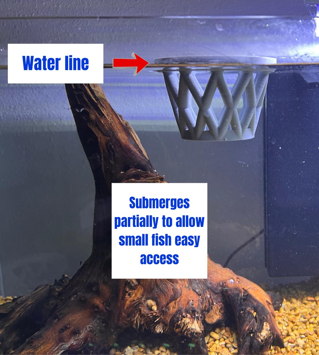 Chatelet Aquarium Fish Feeding Cage | Small Fish Feed Cage | Floats at Surface & Keeps Larger Fish Out | Made in USA
