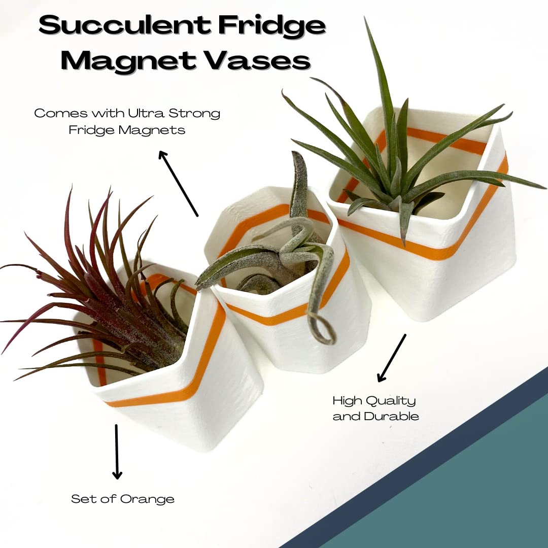 Planter Fridge Magnet Set - Ideal for Air Plants or Succulents - Set of 3 White Planters with Orange Stripe - Made in The USA